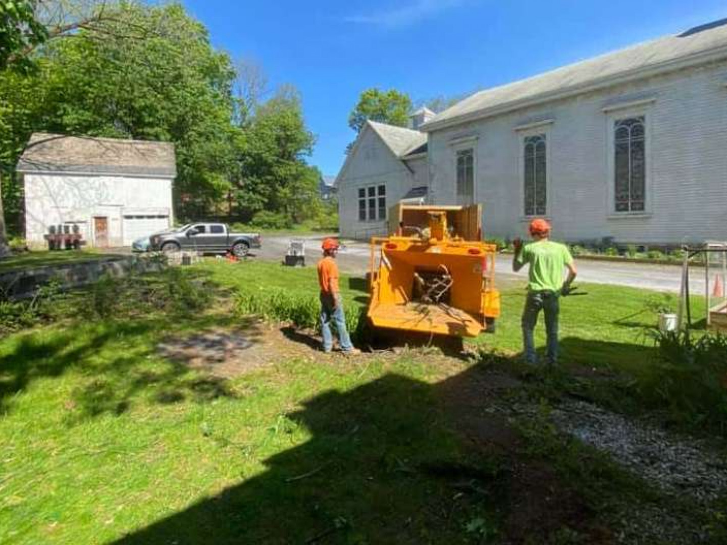 removal montgomery, Delano MN tree